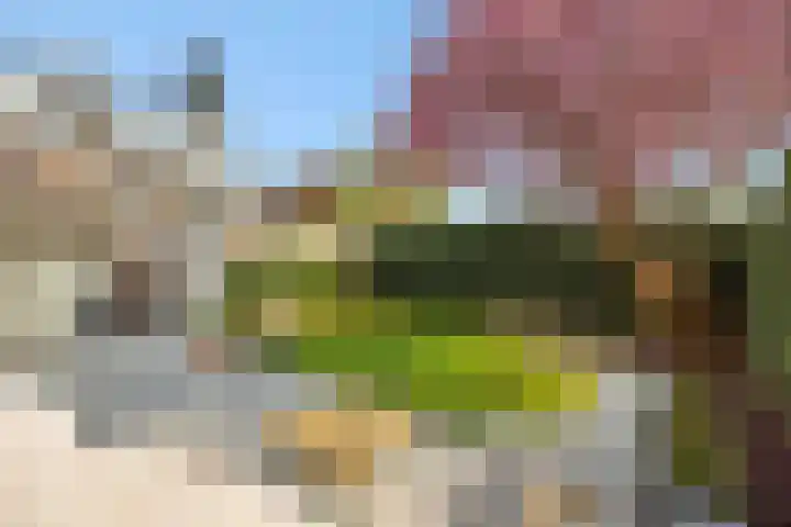 Kamperfoeliestraat 13 's-Hertogenbosch thumbnail 14