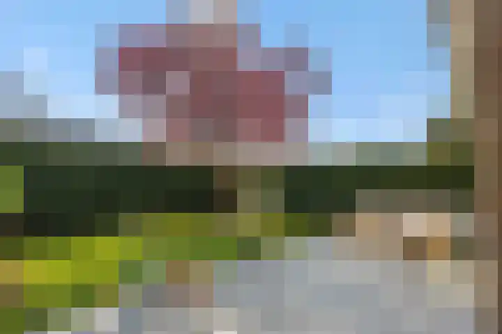 Kamperfoeliestraat 13 's-Hertogenbosch thumbnail 15