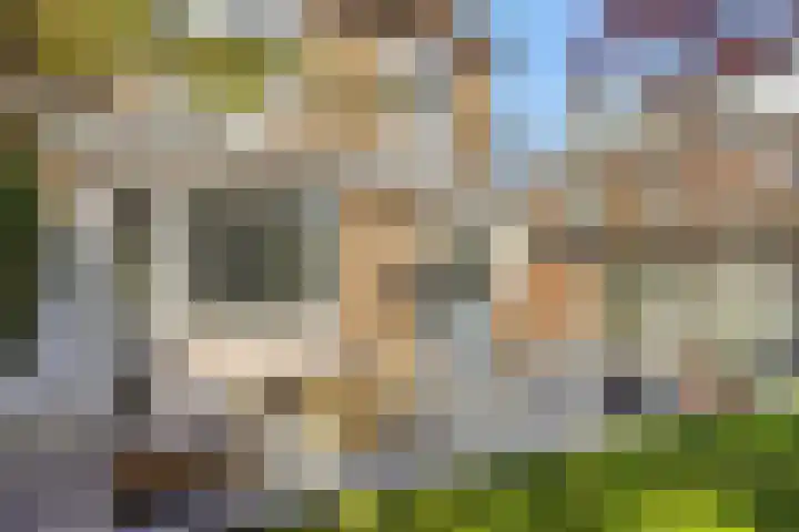 Kamperfoeliestraat 13 's-Hertogenbosch thumbnail 17