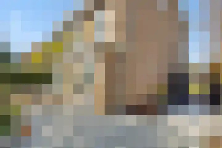 Kamperfoeliestraat 13 's-Hertogenbosch thumbnail 18