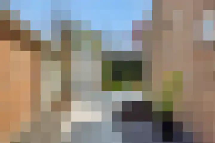 Kamperfoeliestraat 13 's-Hertogenbosch thumbnail 19