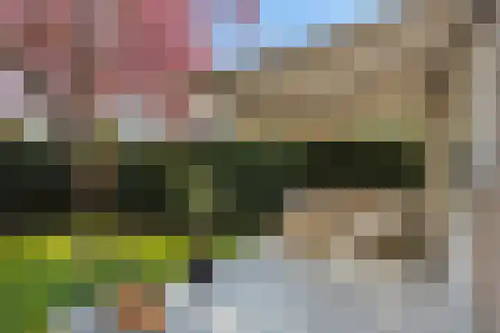 Kamperfoeliestraat 13 's-Hertogenbosch thumbnail 20