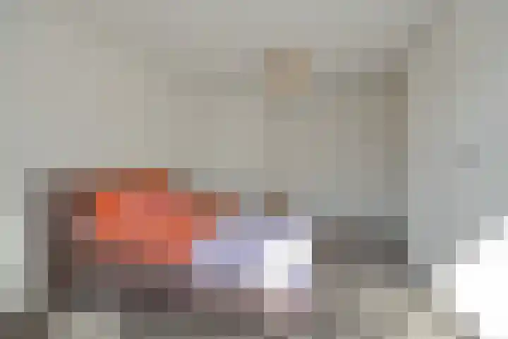 Kamperfoeliestraat 13 's-Hertogenbosch thumbnail 27