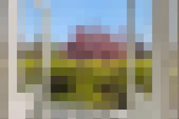 Kamperfoeliestraat 13 's-Hertogenbosch thumbnail 28