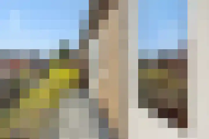 Kamperfoeliestraat 13 's-Hertogenbosch thumbnail 29