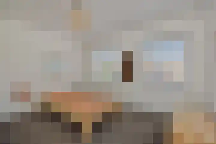 Kamperfoeliestraat 13 's-Hertogenbosch thumbnail 31