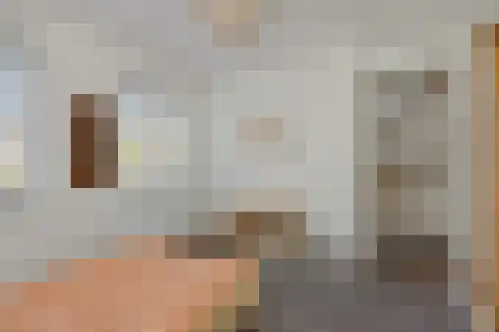 Kamperfoeliestraat 13 's-Hertogenbosch thumbnail 32