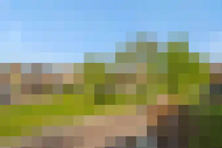 Kamperfoeliestraat 13 's-Hertogenbosch thumbnail 33