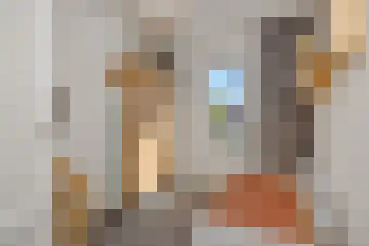 Kamperfoeliestraat 13 's-Hertogenbosch thumbnail 34