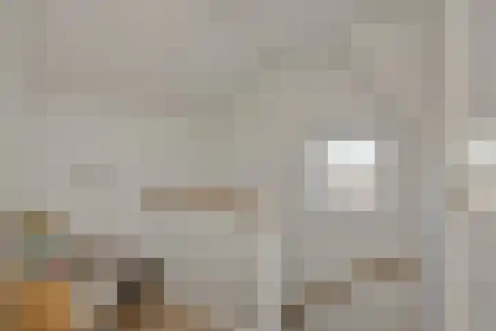 Kamperfoeliestraat 13 's-Hertogenbosch thumbnail 38