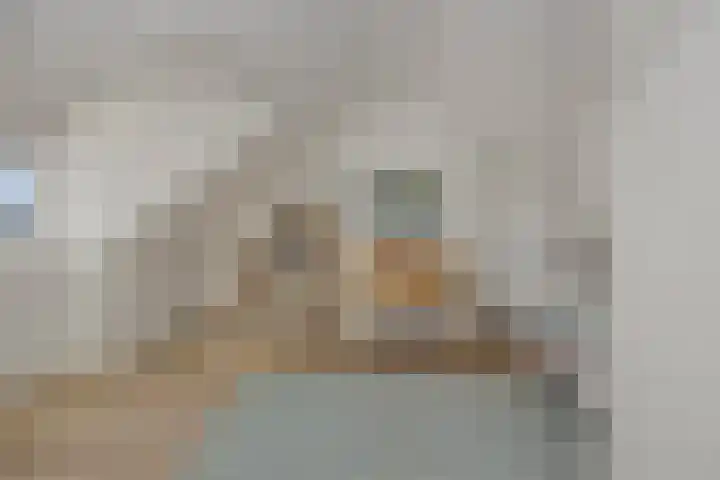 Kamperfoeliestraat 13 's-Hertogenbosch thumbnail 39