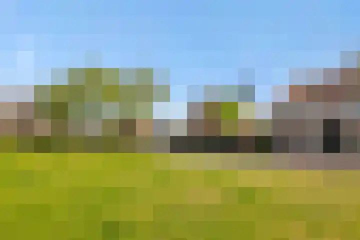 Kamperfoeliestraat 13 's-Hertogenbosch thumbnail 44