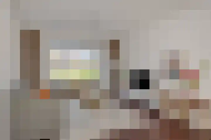 Kamperfoeliestraat 13 's-Hertogenbosch thumbnail 7