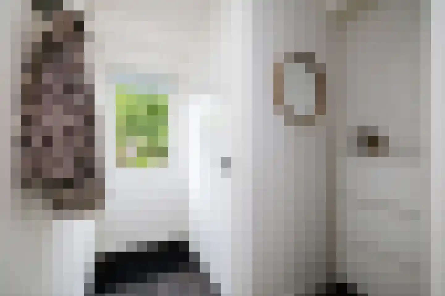 Kamperfoeliestraat 13 Voorst thumbnail 11