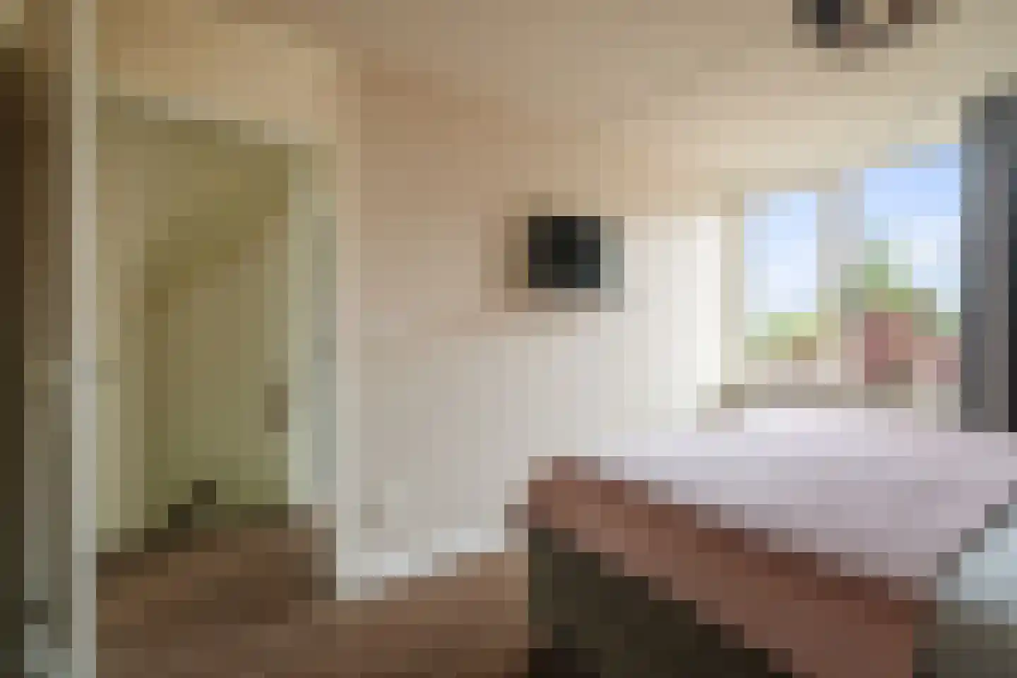Kamperfoeliestraat 13 Voorst thumbnail 16