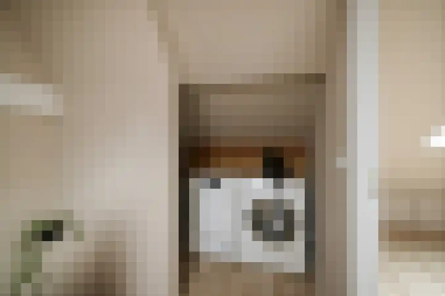 Kamperfoeliestraat 13 Voorst thumbnail 20