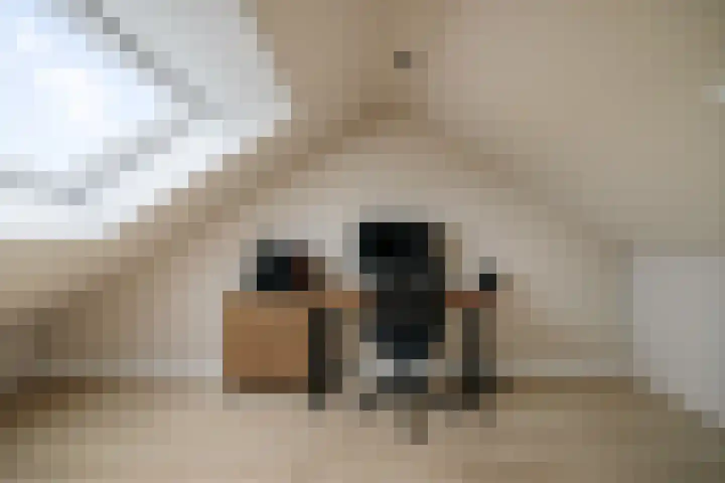Kamperfoeliestraat 13 Voorst thumbnail 22