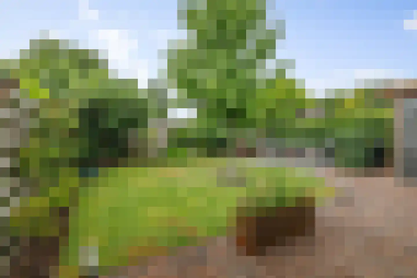 Kamperfoeliestraat 13 Voorst thumbnail 26