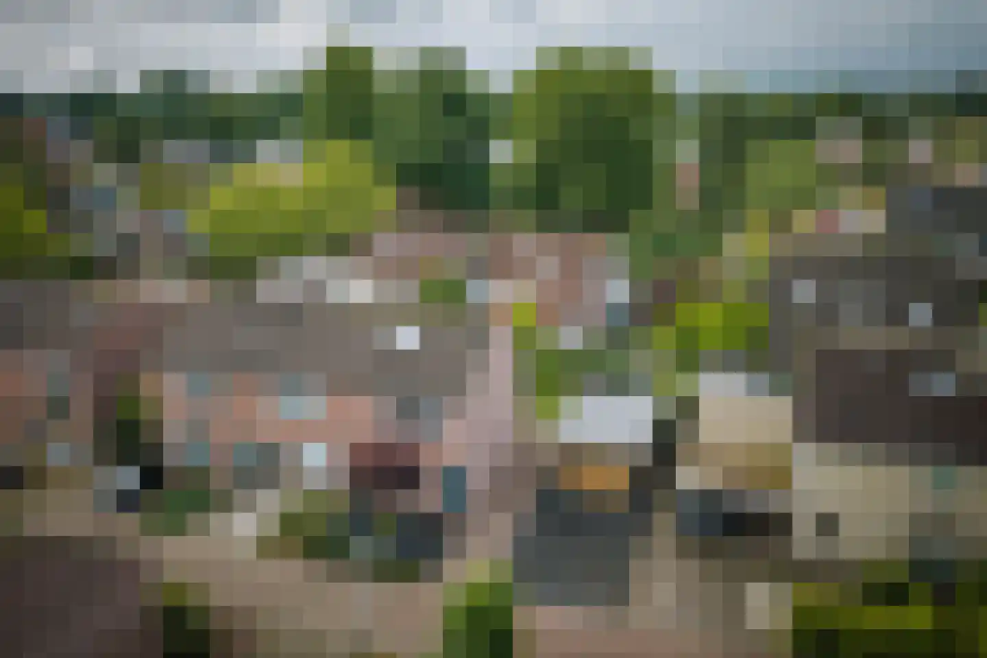 Kamperfoeliestraat 13 Voorst thumbnail 31