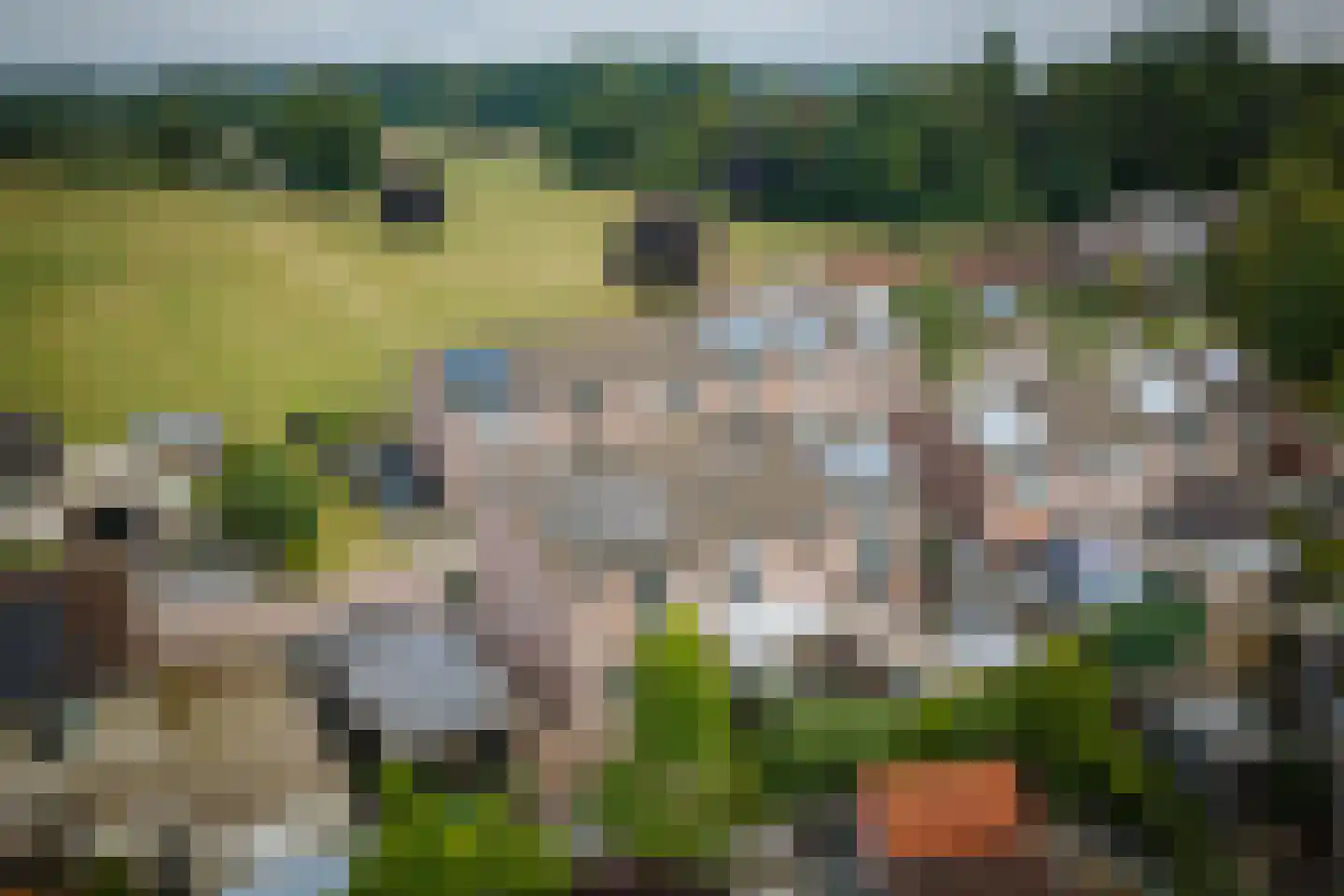 Kamperfoeliestraat 13 Voorst thumbnail 34