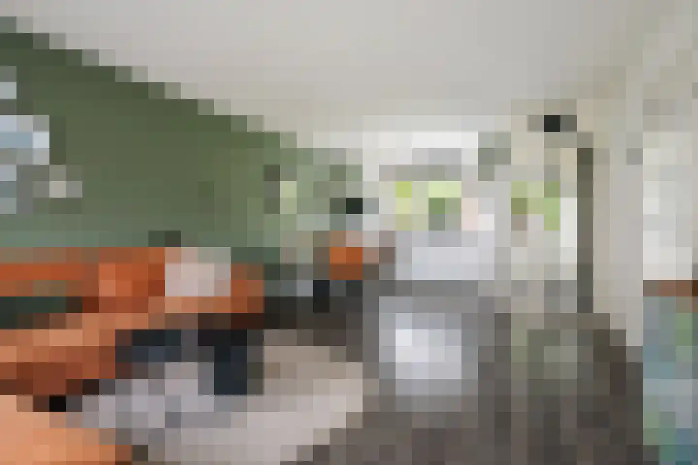 Kamperfoeliestraat 13 Voorst thumbnail 7