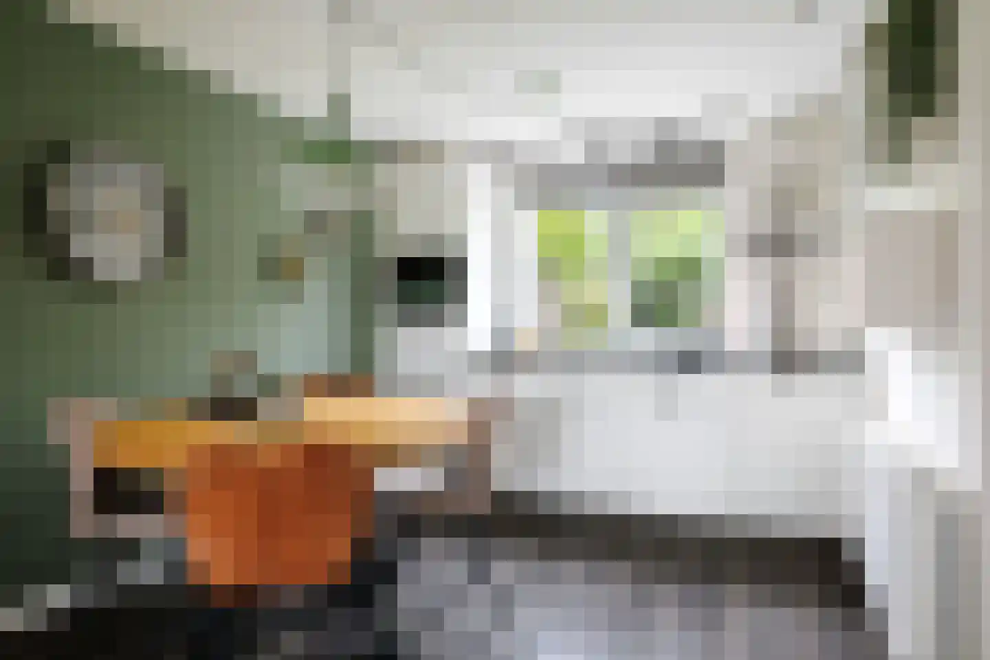 Kamperfoeliestraat 13 Voorst thumbnail 9
