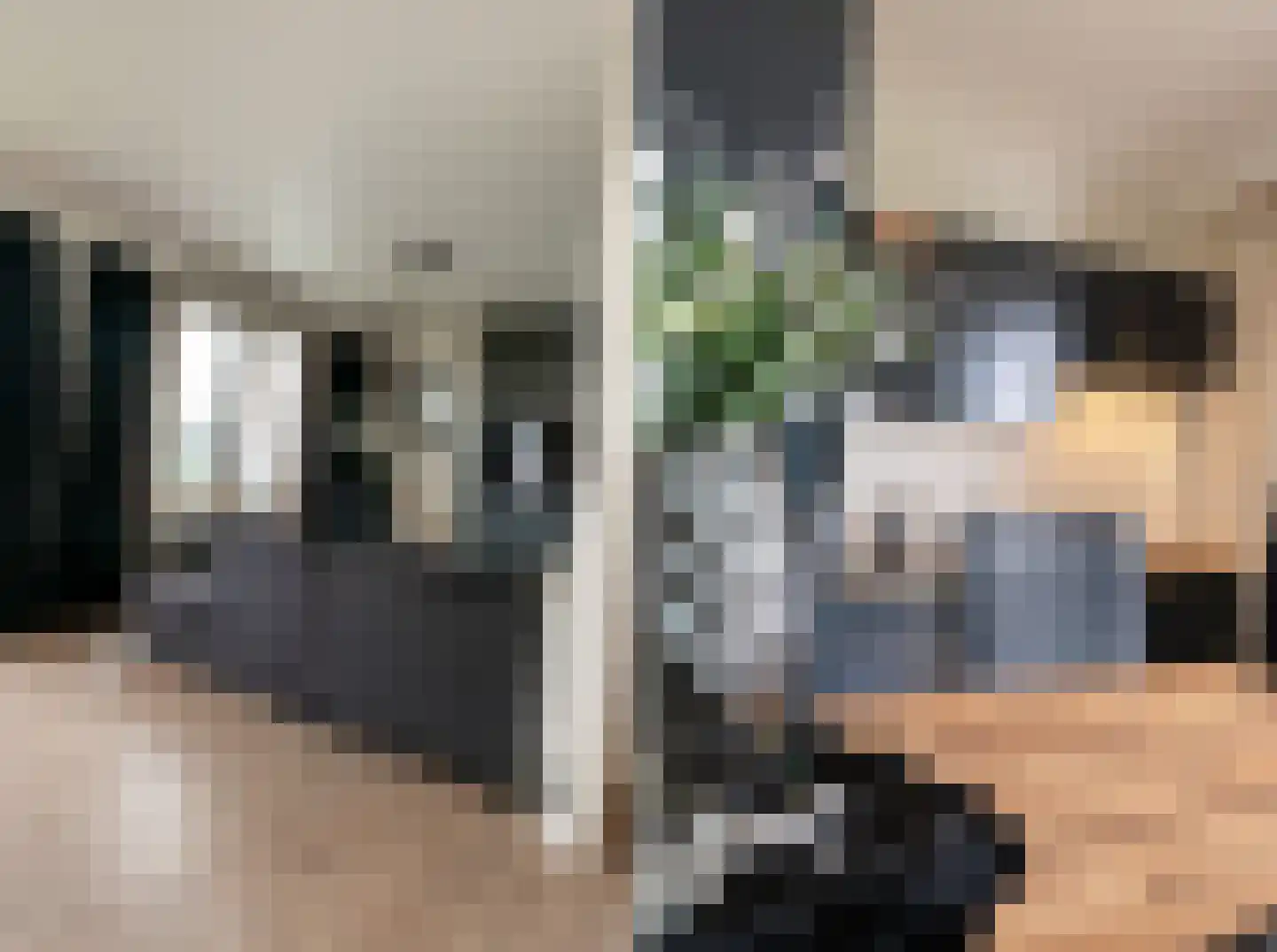 Kamperfoeliestraat 14 A Oss thumbnail 10