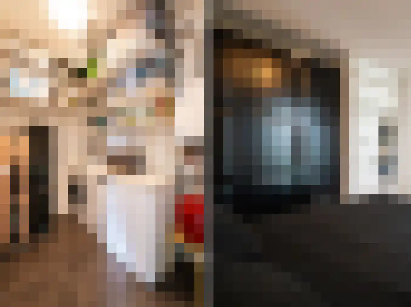 Kamperfoeliestraat 14 A Oss thumbnail 12