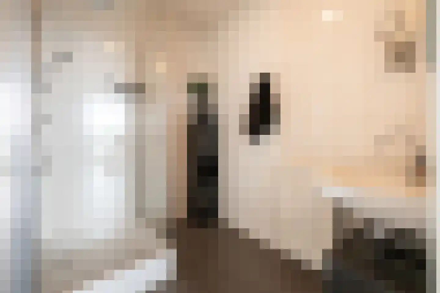 Kamperfoeliestraat 14 A Oss thumbnail 14