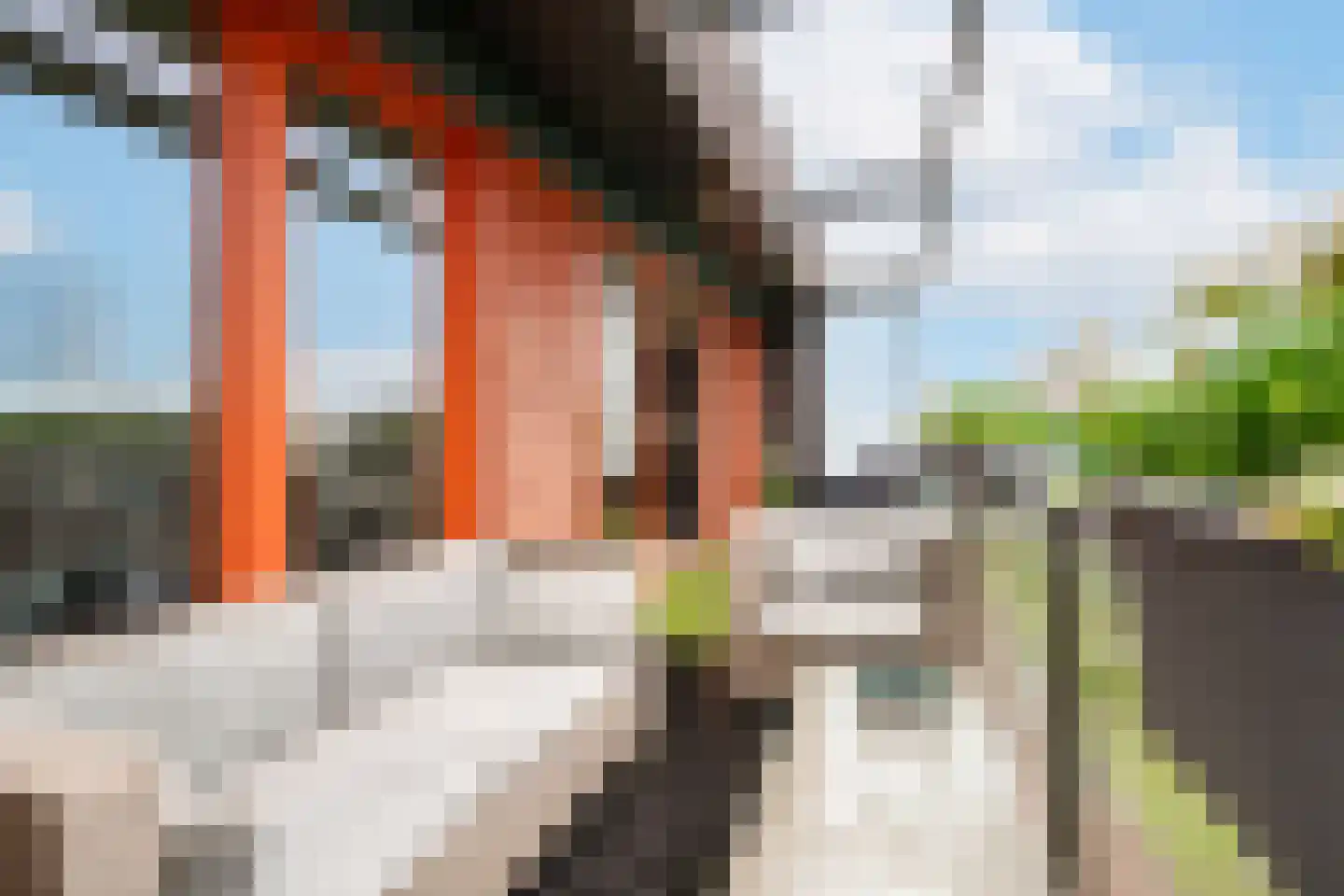 Kamperfoeliestraat 14 A Oss thumbnail 16