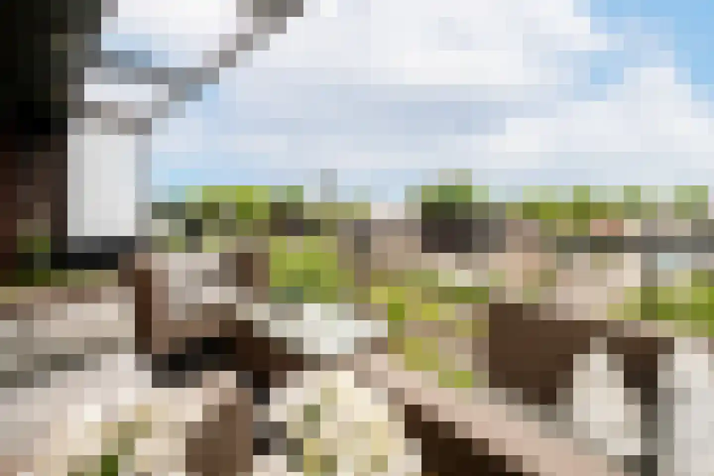 Kamperfoeliestraat 14 A Oss thumbnail 17