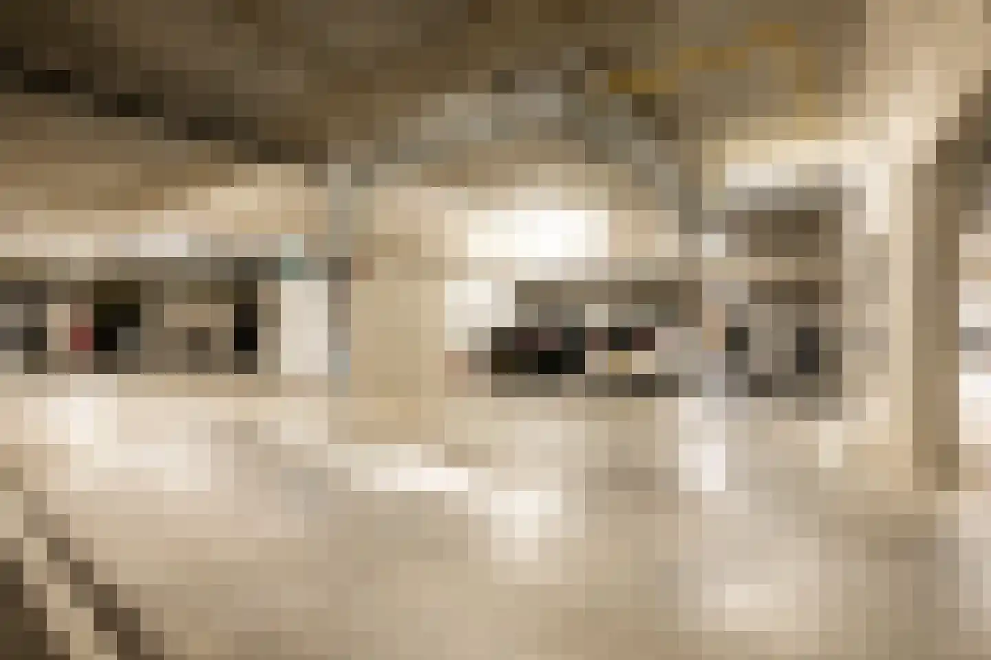 Kamperfoeliestraat 14 A Oss thumbnail 20