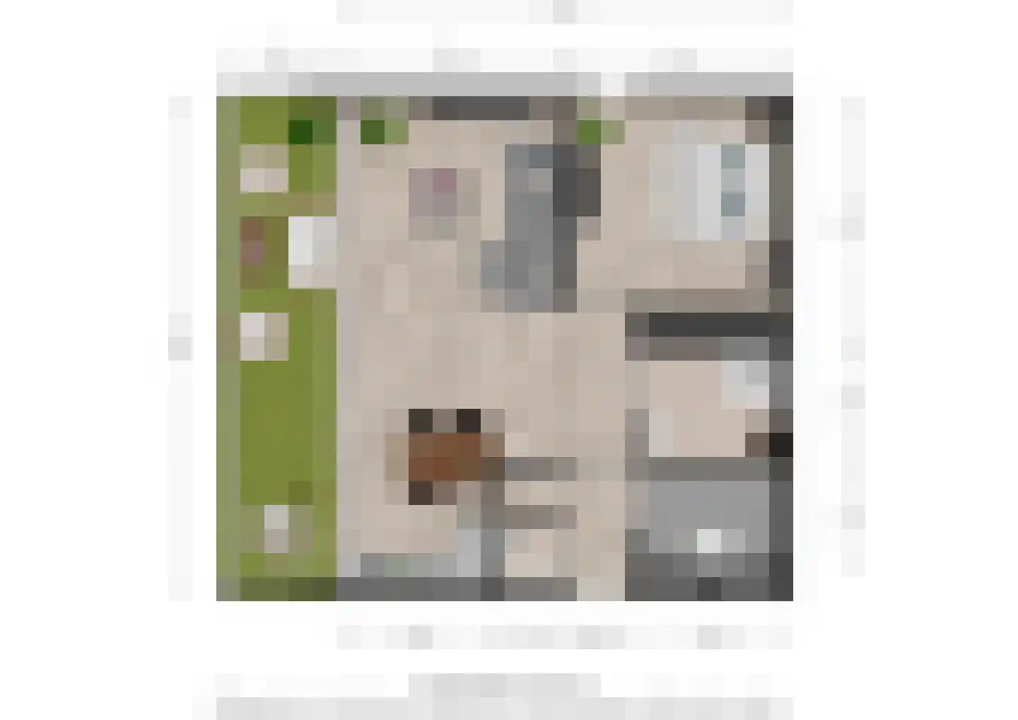 Kamperfoeliestraat 14 A Oss thumbnail 24