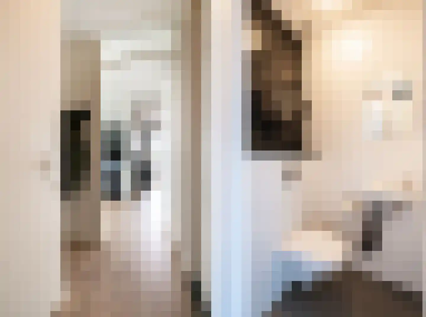 Kamperfoeliestraat 14 A Oss thumbnail 6
