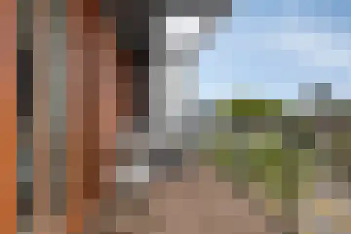 Kamperfoeliestraat 14 B Oss thumbnail 16