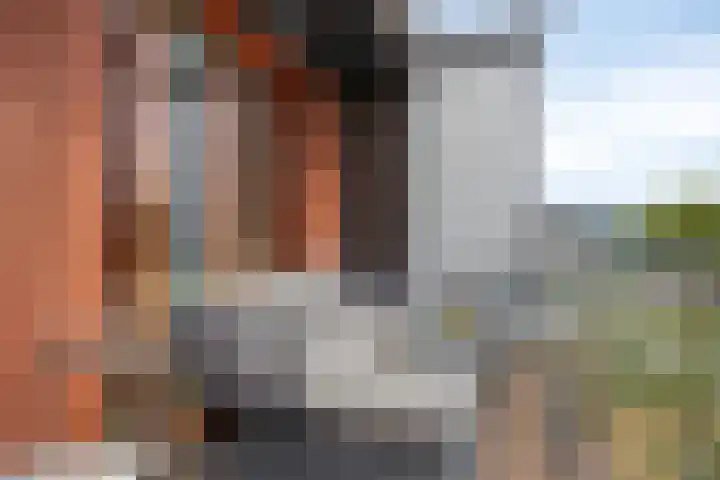 Kamperfoeliestraat 14 B Oss thumbnail 18