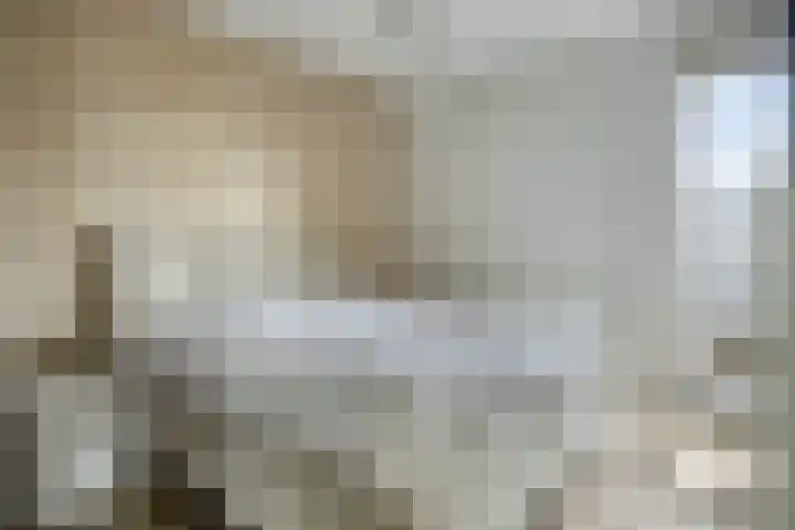 Kamperfoeliestraat 14 B Oss thumbnail 19