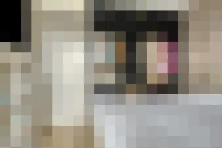Kamperfoeliestraat 14 B Oss thumbnail 20