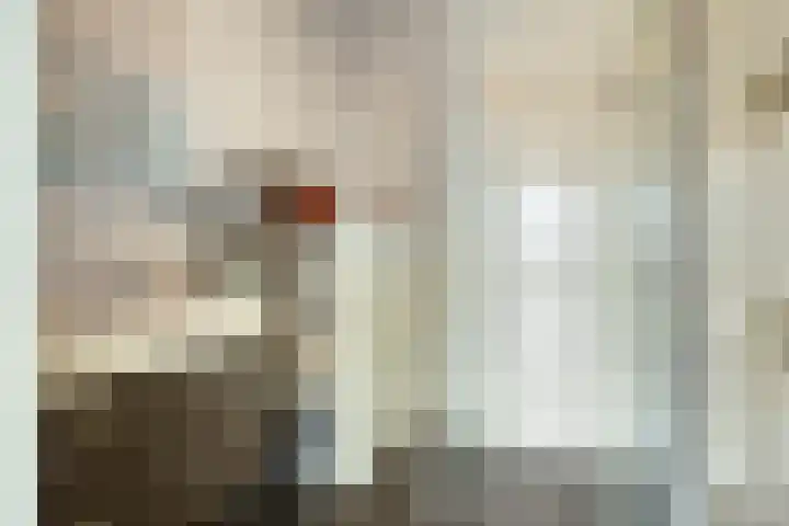 Kamperfoeliestraat 14 B Oss thumbnail 22