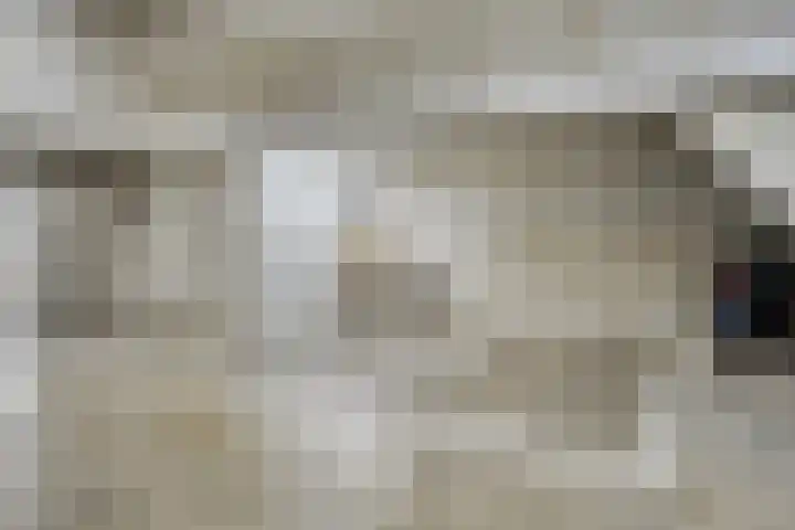 Kamperfoeliestraat 14 B Oss thumbnail 24