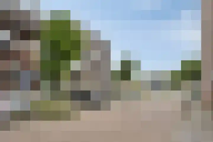 Kamperfoeliestraat 14 B Oss thumbnail 25