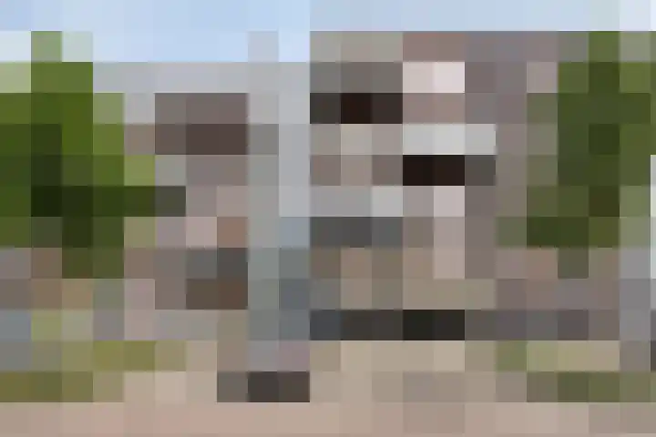 Kamperfoeliestraat 14 B Oss thumbnail 4
