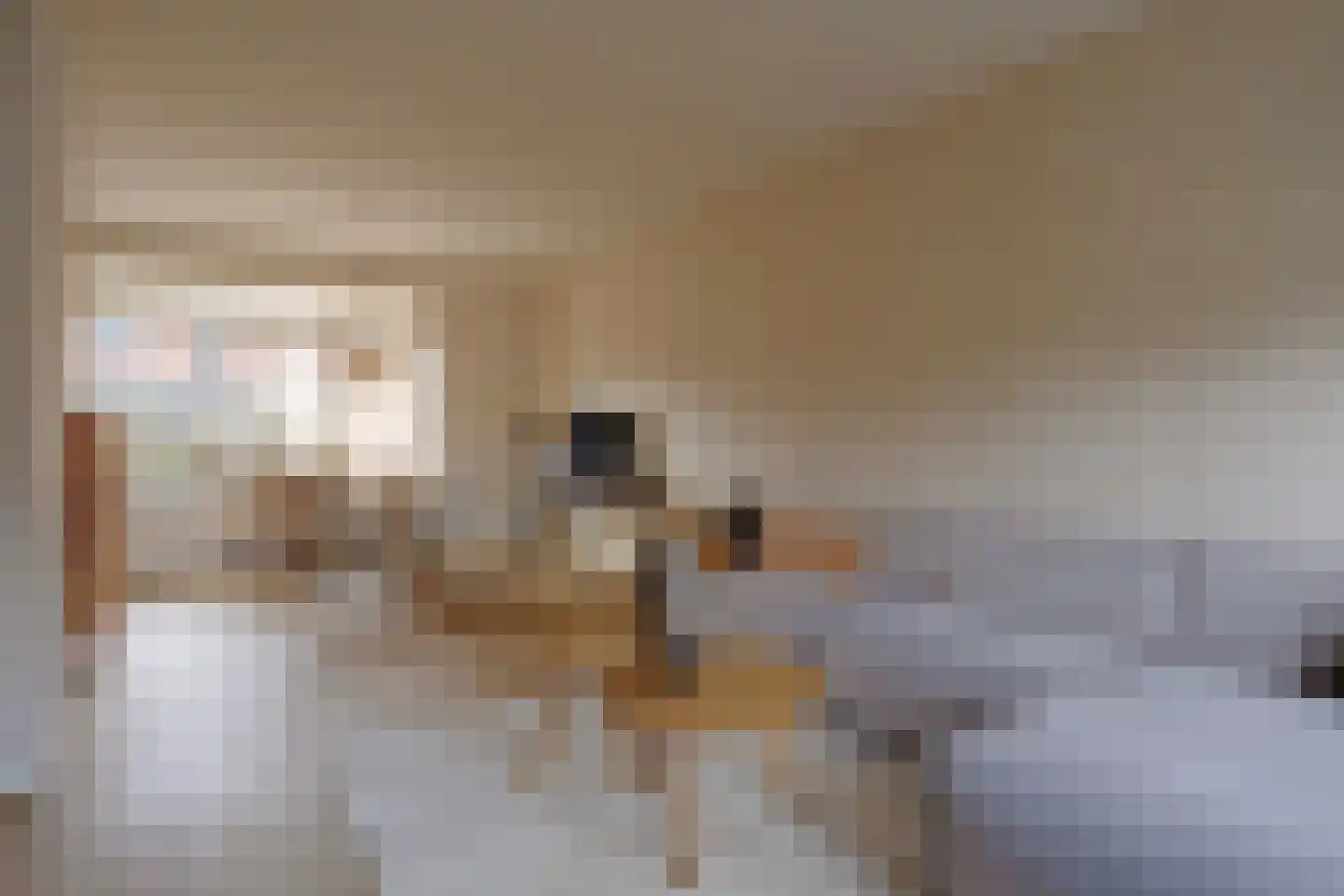 Kamperfoeliestraat 14 Musselkanaal thumbnail 14