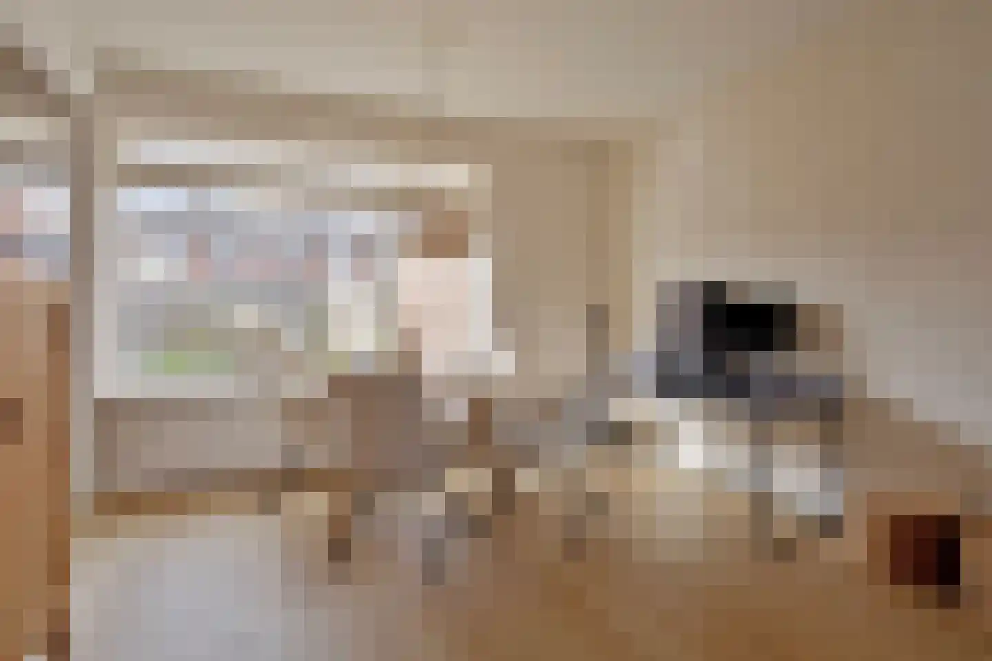 Kamperfoeliestraat 14 Musselkanaal thumbnail 16