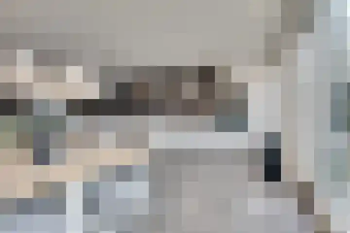 Kamperfoeliestraat 14 Rosmalen thumbnail 12