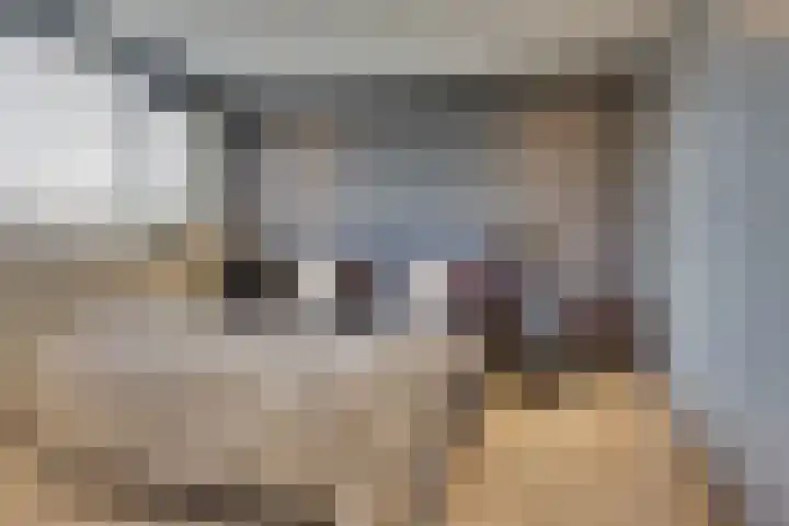 Kamperfoeliestraat 14 Rosmalen thumbnail 13