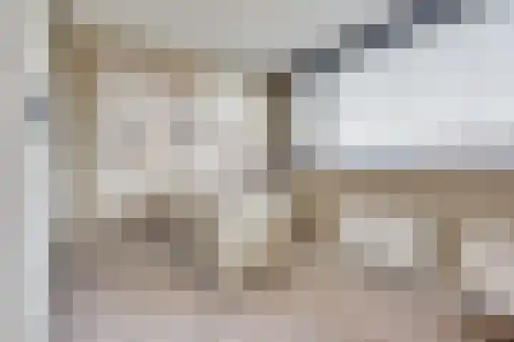 Kamperfoeliestraat 14 Rosmalen thumbnail 17