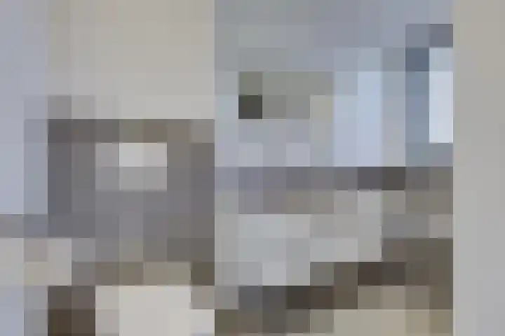 Kamperfoeliestraat 14 Rosmalen thumbnail 19
