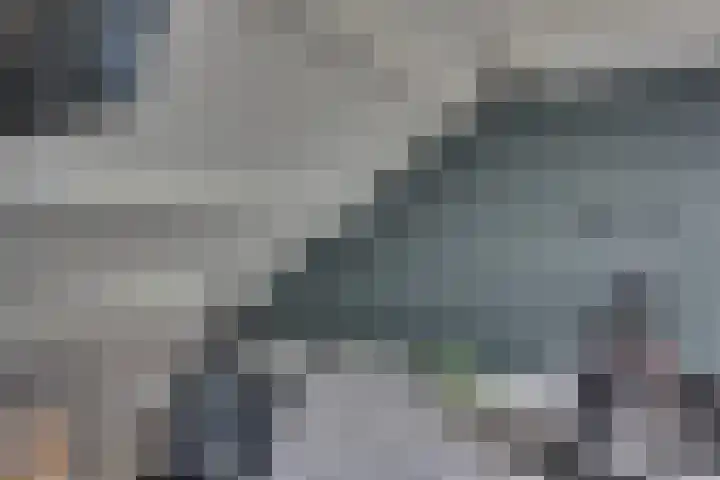 Kamperfoeliestraat 14 Rosmalen thumbnail 23