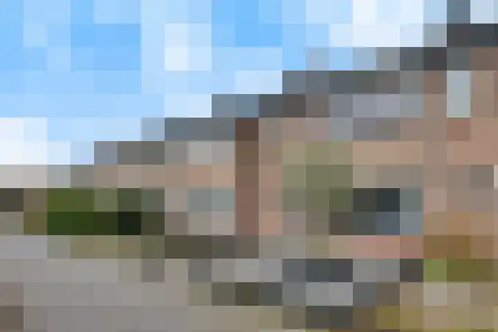 Kamperfoeliestraat 14 Rosmalen thumbnail 28